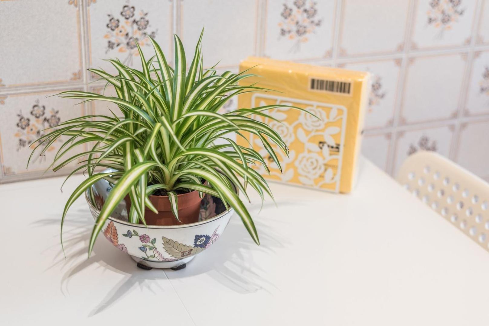 Guestready - Eclectic Haven In The Heart Of Portoアパートメント エクステリア 写真